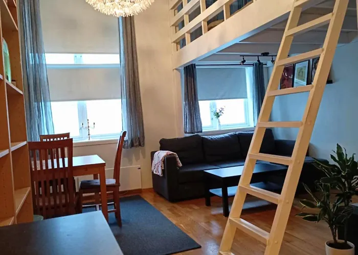 Sentral Leilighet Med Stor Sovehems