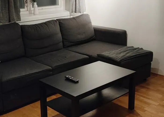 Sentral Leilighet Med Stor Sovehems