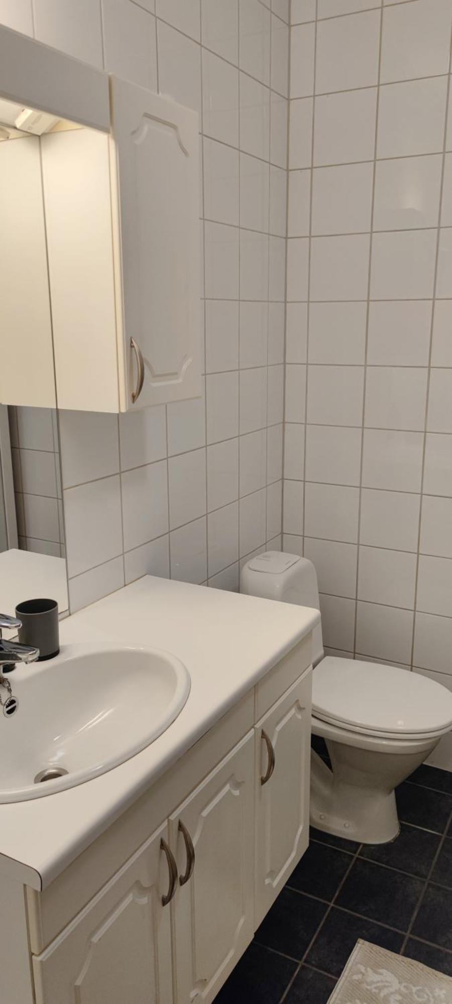 Sentral Med Stor Sovehems Apartment